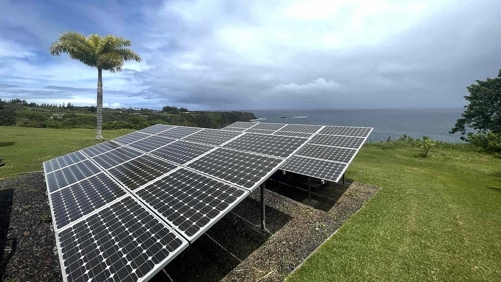 ground mounted solar panels beside a tree