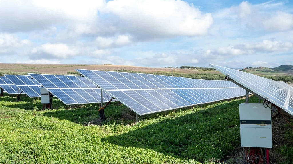 Ground-mounted solar panels in an open field