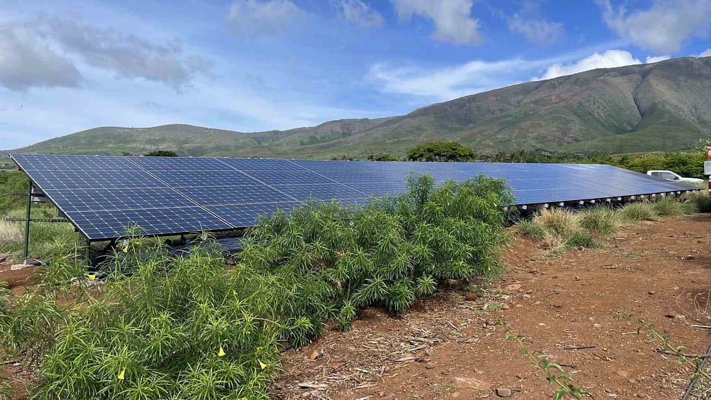 ground mount solar panels blue sky and mountain view