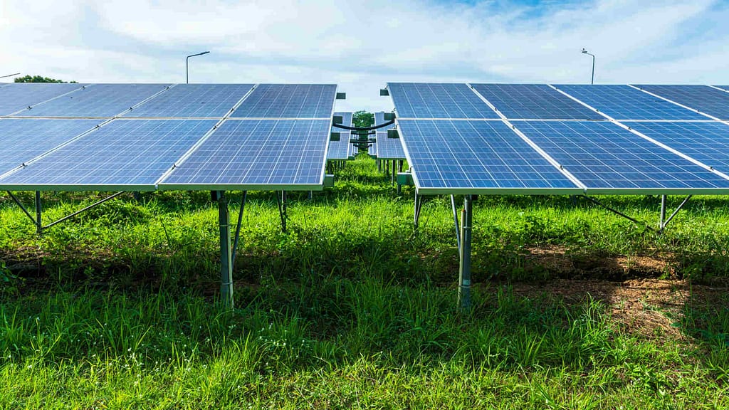 Ground-mounted solar panels