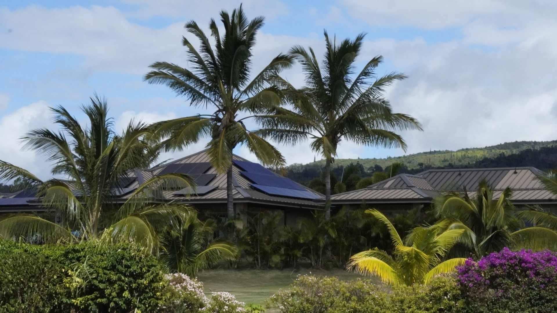 maui houses with solar roof around trees